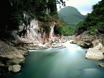 View of waterfall along trees