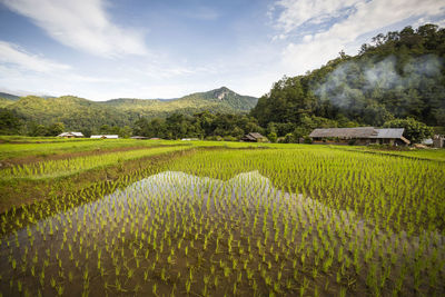 Scenic view of field against cloudy sky