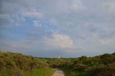 Road amidst trees against sky