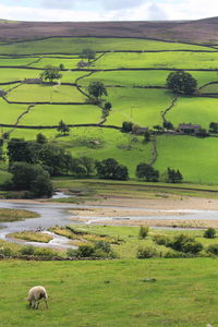 Scenic view of yorkshire dales