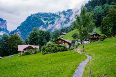Scenic view of trees and houses on field against sky