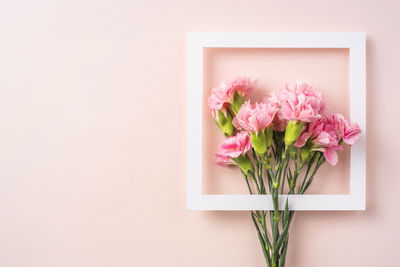 Close-up of pink flower vase against wall