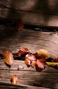 High angle view of dry leaves on table