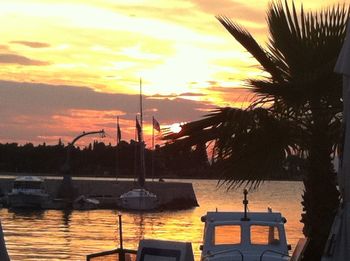 Palm trees at sunset