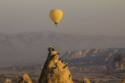 Dozens of hot air balloon flights at dawn in cappadocia in turkey