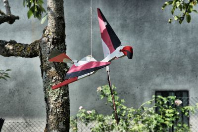 Close-up of flag against tree trunk