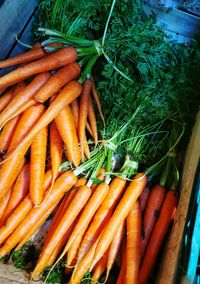 High angle view of vegetables in market