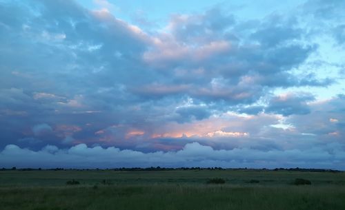 Scenic view of field against sky during sunset