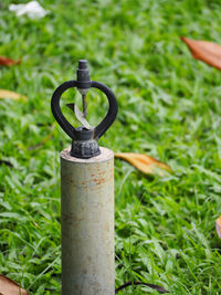 Close-up of grass on field