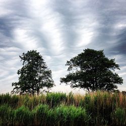 Scenic view of grassy field against cloudy sky