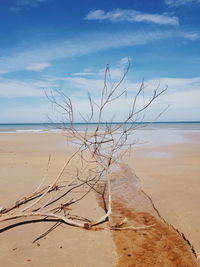 Scenic view of beach against sky