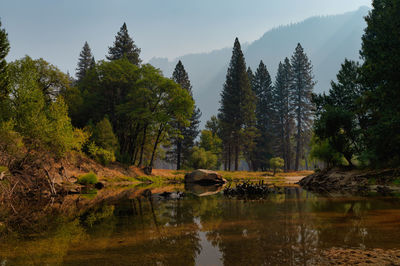 Beautiful nature without people during pandemic travel restrictions at yosemite national park
