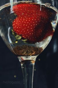 Close-up of food on table