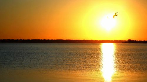 Scenic view of sunset over sea