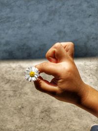 Close-up of hand holding flower