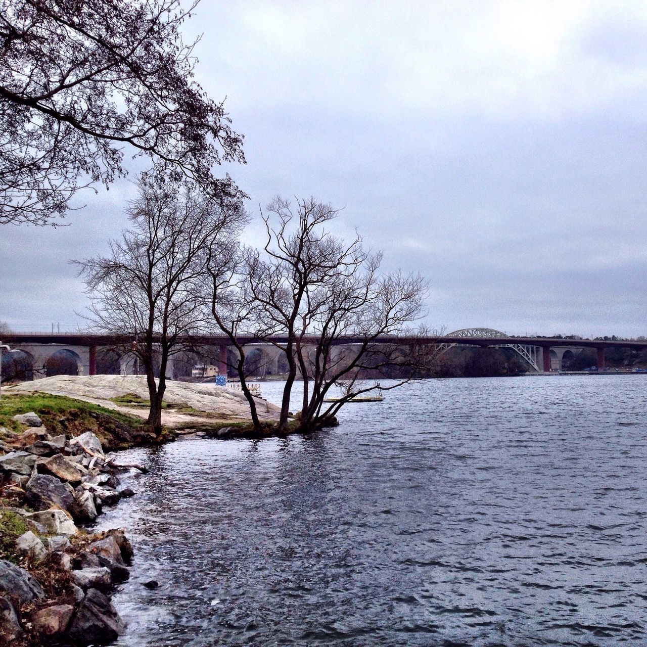 water, bare tree, tree, sky, tranquility, tranquil scene, scenics, river, lake, nature, beauty in nature, branch, waterfront, rippled, cloud - sky, day, no people, non-urban scene, outdoors, idyllic