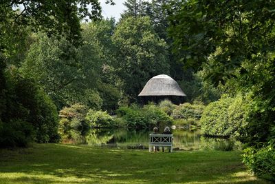 Scenic view of trees around pond reflecting in water