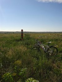 Scenic view of grassy field against sky