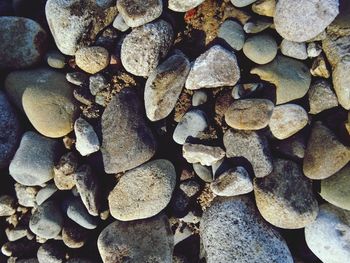 High angle view of pebble