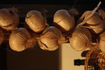 Close-up of pumpkins