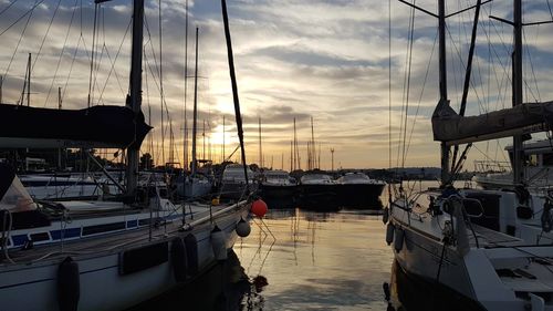 Sailboats moored in harbor at sunset