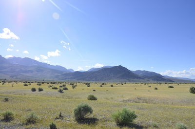 Scenic view of field and mountains against blue sky