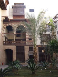 Potted plants outside building