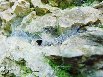 Close-up of rocks in water