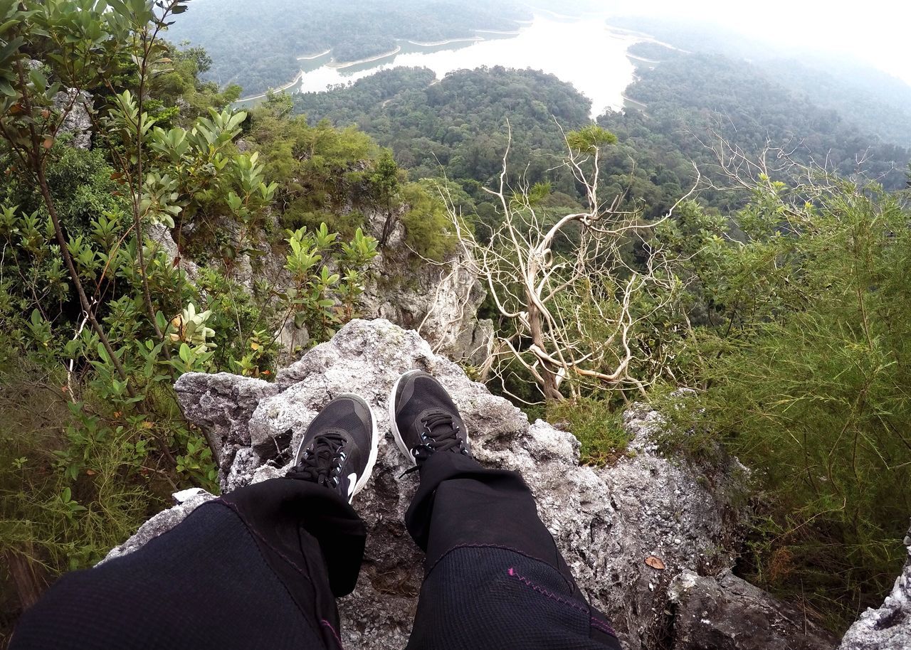 LOW SECTION OF PERSON ON ROCK BY TREE MOUNTAIN