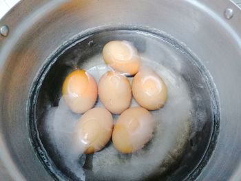 High angle view of eggs in container