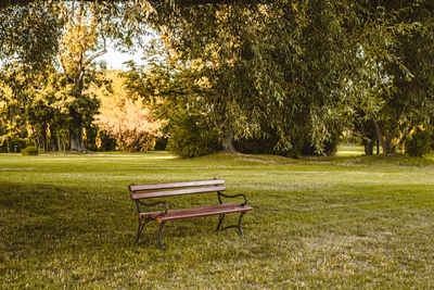 Bench in park