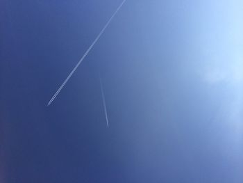 Low angle view of tree against blue sky