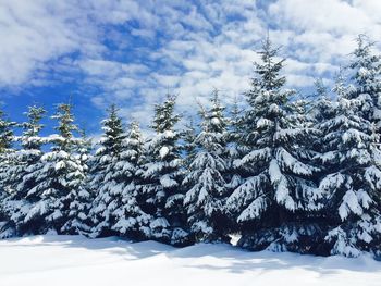 Snow covered landscape against sky