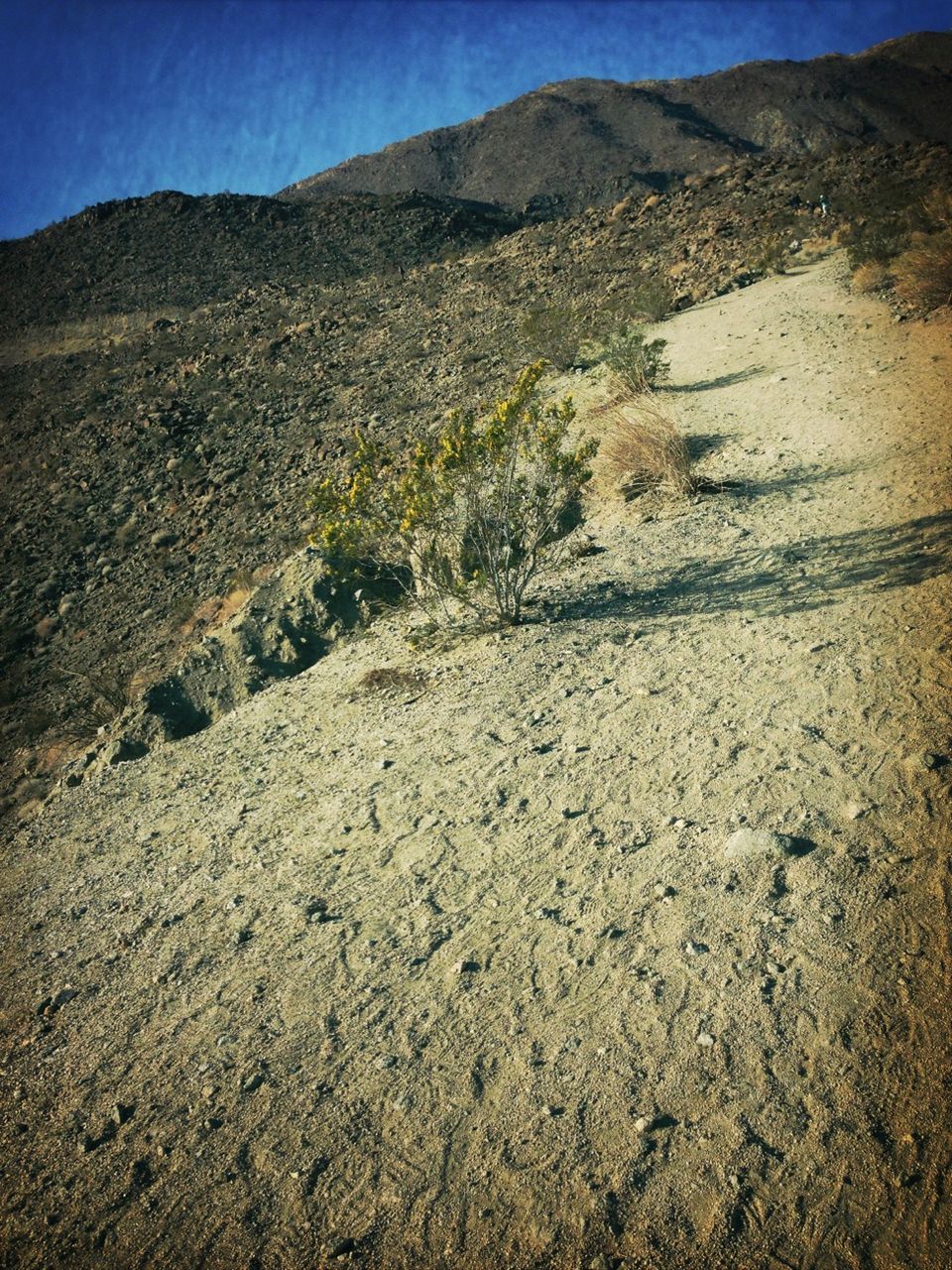 mountain, tranquility, tranquil scene, landscape, nature, scenics, beauty in nature, mountain range, clear sky, non-urban scene, sky, remote, rock formation, arid climate, desert, rock - object, geology, physical geography, barren, sunlight