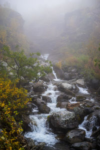 Scenic view of waterfall in forest