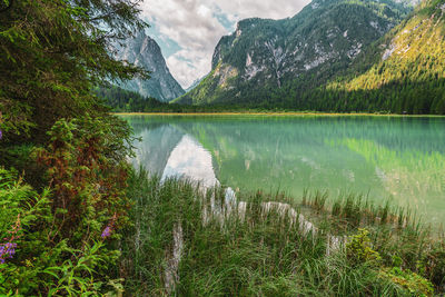 Lake dobbiaco in the dolomites, italy.