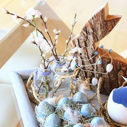 High angle view of shells on table