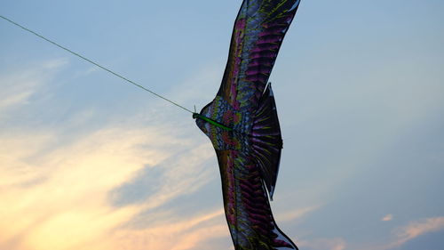 Low angle view of multi colored sky