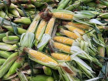 High angle view of vegetables for sale in market