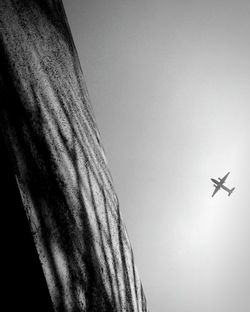 Low angle view of tree against sky