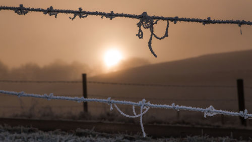 Close-up of barbed wire against sky during sunset