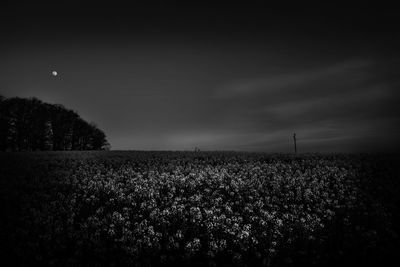 Scenic view of field against sky at night