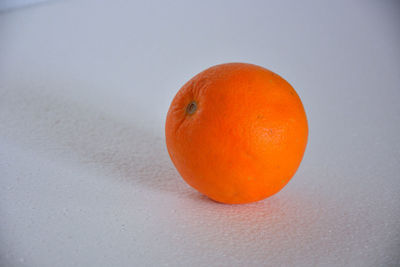 High angle view of orange on white background