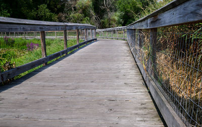 Footbridge amidst trees in forest