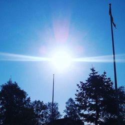 Low angle view of trees against blue sky