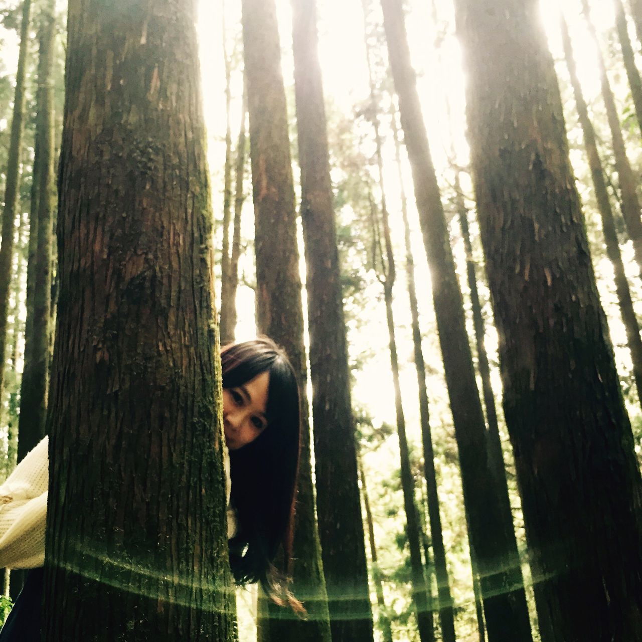 tree, young adult, lifestyles, tree trunk, forest, leisure activity, young women, casual clothing, person, standing, front view, sunlight, long hair, looking at camera, portrait, woodland, contemplation