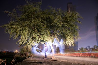 Full length of horse in illuminated at night