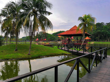 Palm trees by swimming pool against sky
