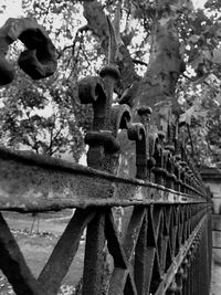 Close-up of tree trunk in temple