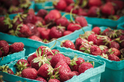 Close-up of fruits for sale in market